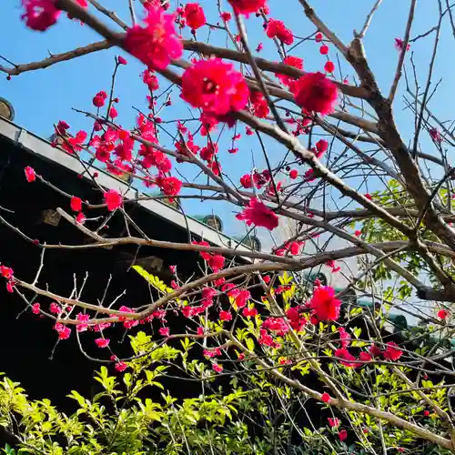 湯島天満宮の自然