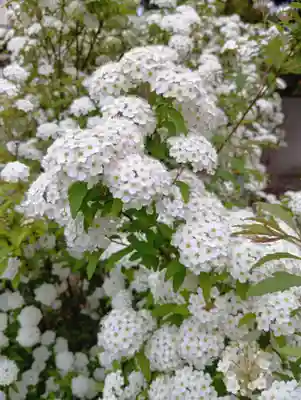 刺田比古神社(和歌山県)