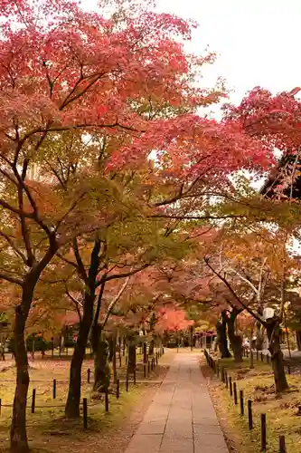 真正極楽寺（真如堂）(京都府)