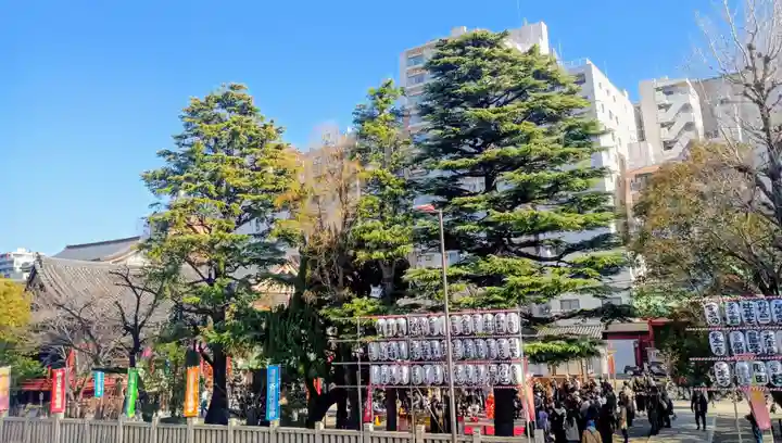浅草神社(東京都)