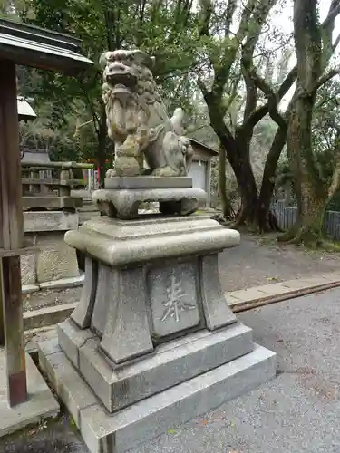 若松白山神社 の狛犬