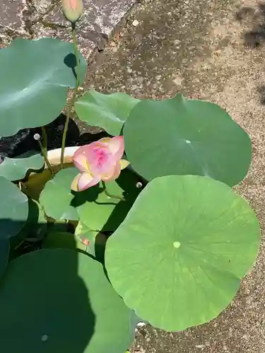 大仙寺(岐阜県)