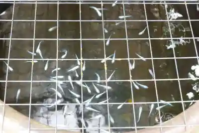 観音寺(福岡県)