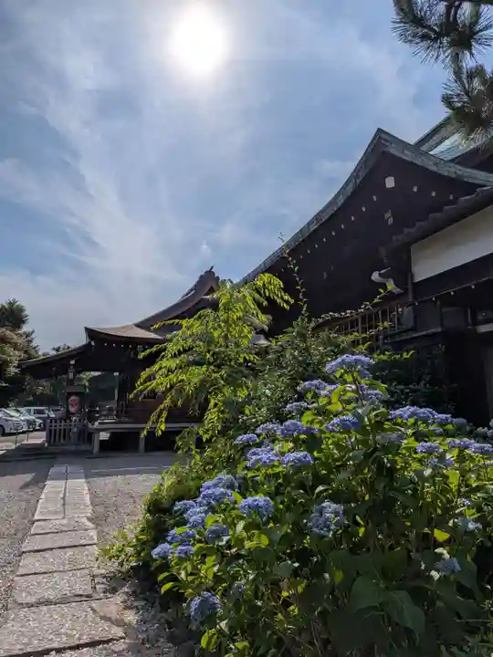 本郷氷川神社(東京都)