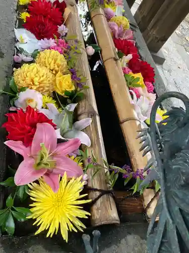 札幌護國神社の手水