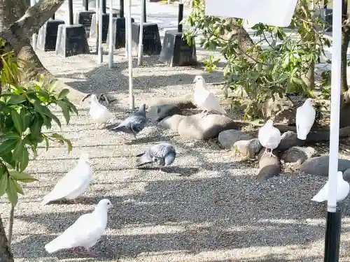 旗上弁財天社の{uncategorized: "未分類", other: "その他", undefined: "問題あり", building: "その他建物", grave: "お墓", sacred_gate: "鳥居", guardian: "狛犬", statue: "像", buddha: "仏像", history: "歴史", nature: "自然", garden: "庭園", animal: "動物", pagoda: "塔", temizu: "手水舎", mountain_gate: "山門・神門", sanctuary: "本殿・本堂", subordinate: "末社・摂社", art: "芸術", scenery: "景色", jizo: "地蔵", ema: "絵馬", goshuin: "御朱印", omikuji: "おみくじ", items: "授与品その他", amulet: "お守り", goshuincho: "御朱印帳", eats: "食事", festival: "お祭り", votive_dance: "神楽", shichigosan: "七五三参", wedding: "結婚式", experience: "体験その他", initially: "初詣", around: "周辺", anti_infection: "感染症対策"}