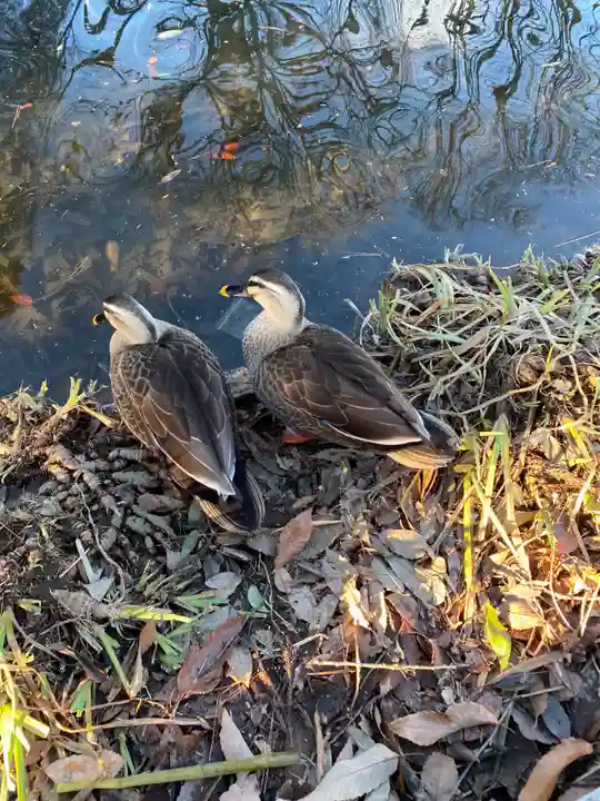 乃木神社(栃木県)