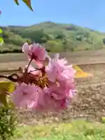 高司神社〜むすびの神の鎮まる社〜(福島県)