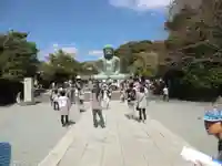 高徳院(神奈川県)