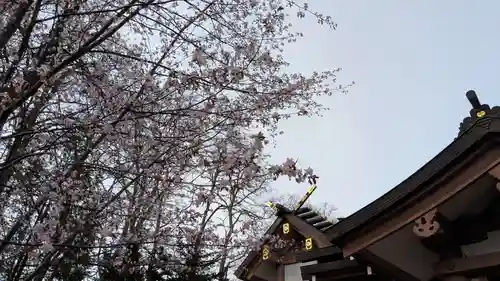 鷹栖神社の自然