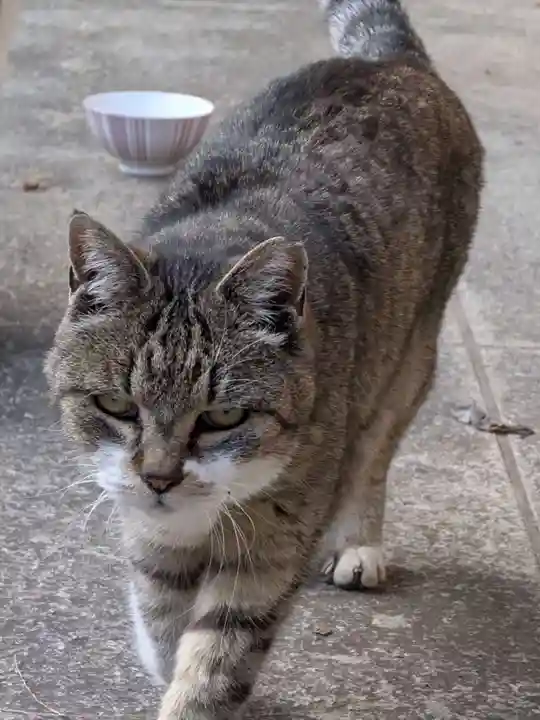 白金氷川神社(東京都)