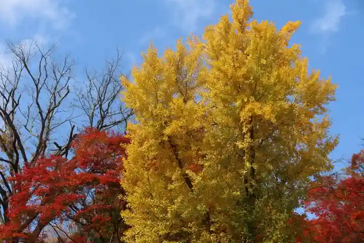 愛宕神社の自然