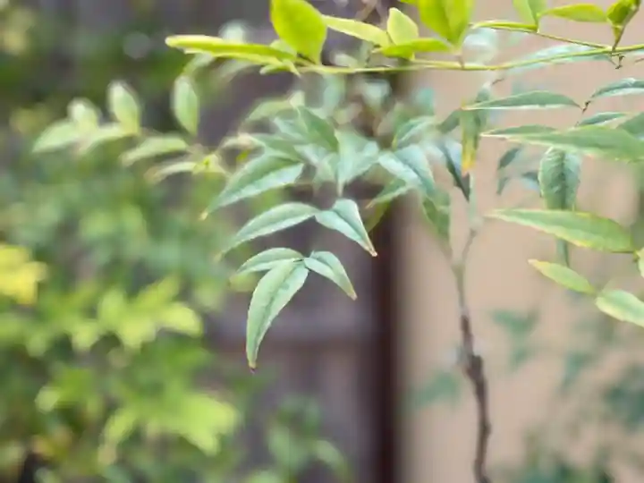 西方山極楽寺(岐阜県)