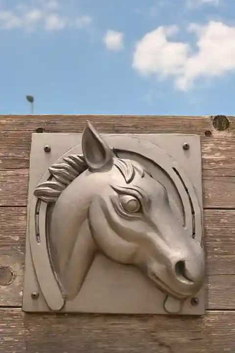 遍照院(愛媛県)