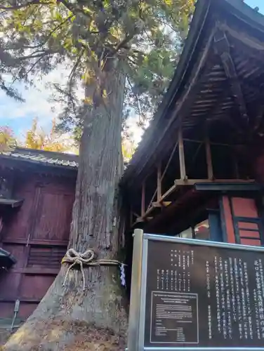 北口本宮冨士浅間神社(山梨県)
