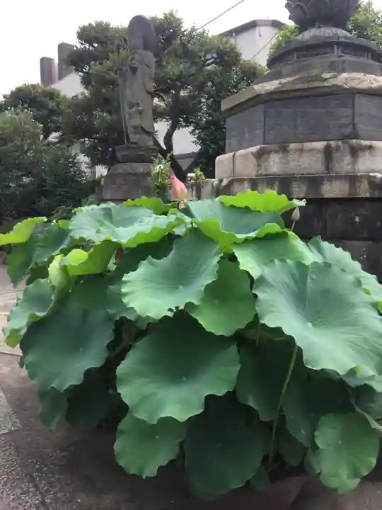 大円寺のその他建物