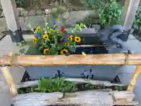 東海市熊野神社の手水舎