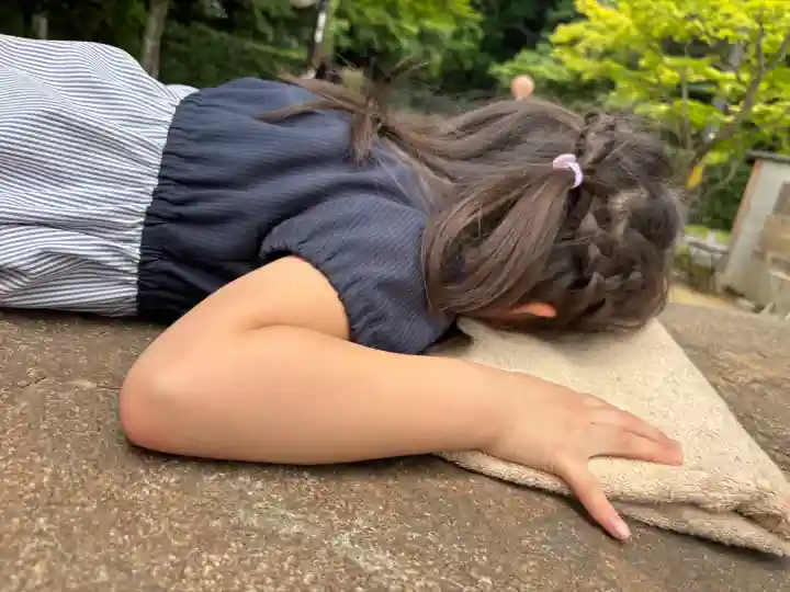 主乃雅神社(京都府)