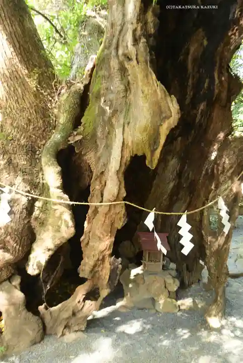 來宮神社(静岡県)