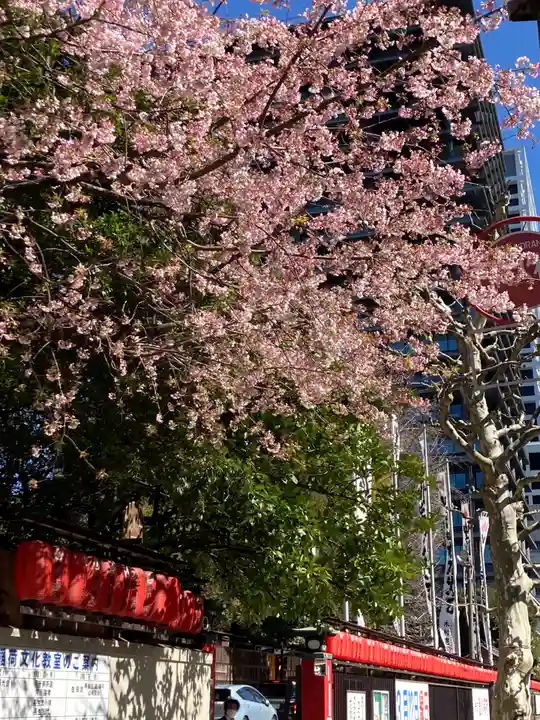 豊川稲荷東京別院の自然