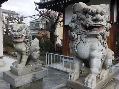 住吉神社の狛犬