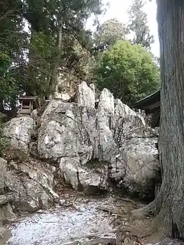 鹿島大神宮の自然