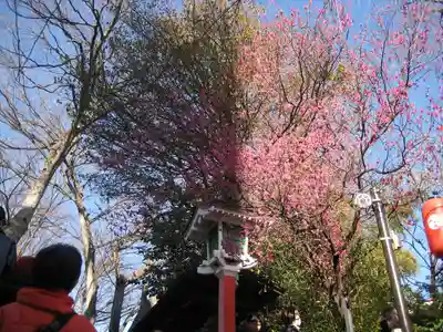田無神社(東京都)