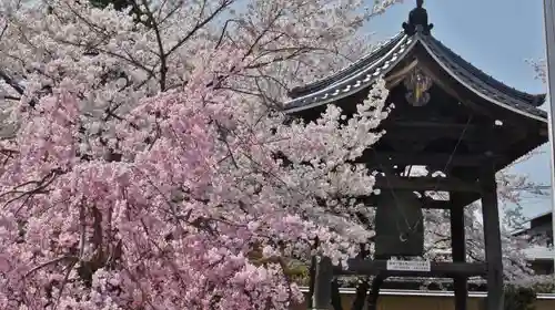 妙顯寺（妙顕寺）のその他建物