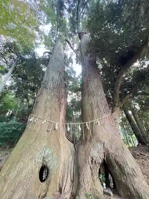 日吉神社(千葉県)