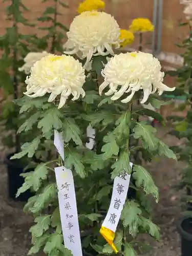 高麗神社(埼玉県)