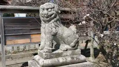 中津神社の狛犬