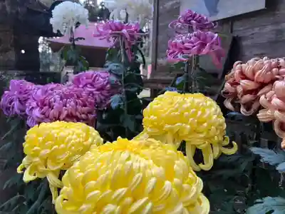 大宮温泉神社(栃木県)