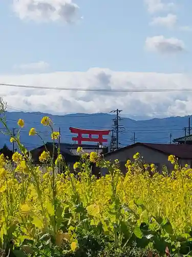 千代保稲荷神社の鳥居