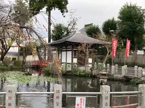 圓照寺の庭園