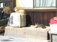 縣主神社の建物その他