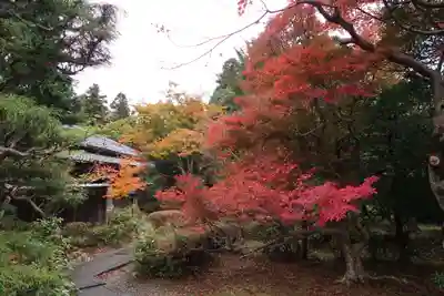 真禅院(岐阜県)