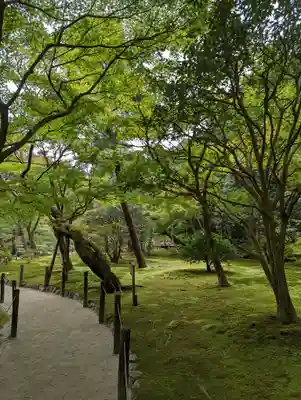 慈照寺（慈照禅寺・銀閣寺）(京都府)
