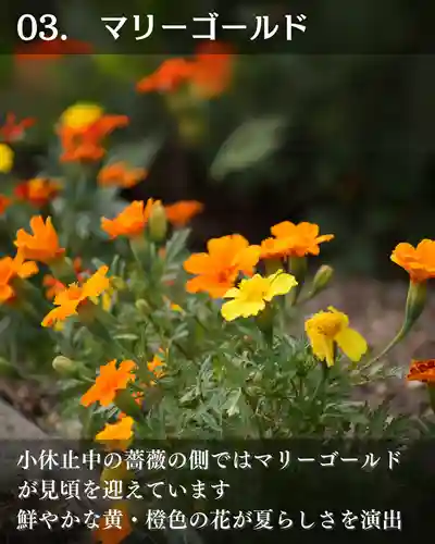 宝光寺(北海道)