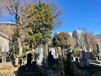 養国寺の{uncategorized: "未分類", other: "その他", undefined: "問題あり", building: "その他建物", grave: "お墓", sacred_gate: "鳥居", guardian: "狛犬", statue: "像", buddha: "仏像", history: "歴史", nature: "自然", garden: "庭園", animal: "動物", pagoda: "塔", temizu: "手水舎", mountain_gate: "山門・神門", sanctuary: "本殿・本堂", subordinate: "末社・摂社", art: "芸術", scenery: "景色", jizo: "地蔵", ema: "絵馬", goshuin: "御朱印", omikuji: "おみくじ", items: "授与品その他", amulet: "お守り", goshuincho: "御朱印帳", eats: "食事", festival: "お祭り", votive_dance: "神楽", shichigosan: "七五三参", wedding: "結婚式", experience: "体験その他", initially: "初詣", around: "周辺", anti_infection: "感染症対策"}