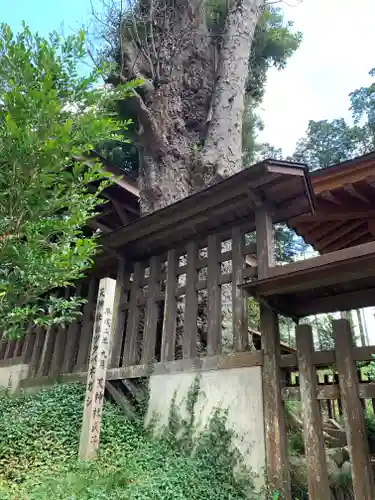 大渕天神社(茨城県)