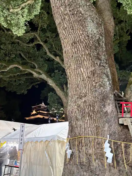 加藤神社(熊本県)