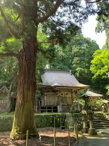 配志和神社の本殿