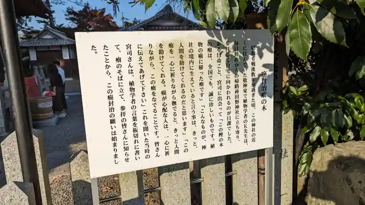 稗田野神社(薭田野神社)(京都府)