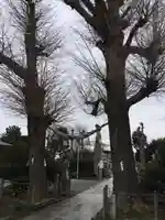 亀ケ池八幡宮のその他建物