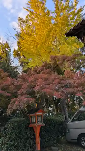 八坂神社(祇園さん)の自然