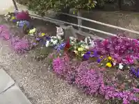 正等山 円福寺の{uncategorized: "未分類", other: "その他", undefined: "問題あり", building: "その他建物", grave: "お墓", sacred_gate: "鳥居", guardian: "狛犬", statue: "像", buddha: "仏像", history: "歴史", nature: "自然", garden: "庭園", animal: "動物", pagoda: "塔", temizu: "手水舎", mountain_gate: "山門・神門", sanctuary: "本殿・本堂", subordinate: "末社・摂社", art: "芸術", scenery: "景色", jizo: "地蔵", ema: "絵馬", goshuin: "御朱印", omikuji: "おみくじ", items: "授与品その他", amulet: "お守り", goshuincho: "御朱印帳", eats: "食事", festival: "お祭り", votive_dance: "神楽", shichigosan: "七五三参", wedding: "結婚式", experience: "体験その他", initially: "初詣", around: "周辺", anti_infection: "感染症対策"}