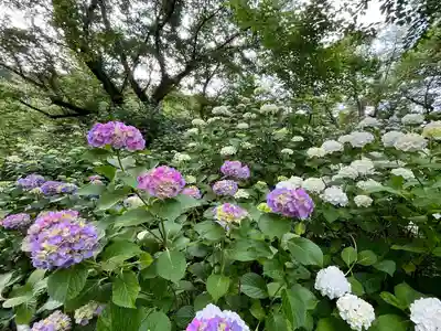 念佛院(奈良県)