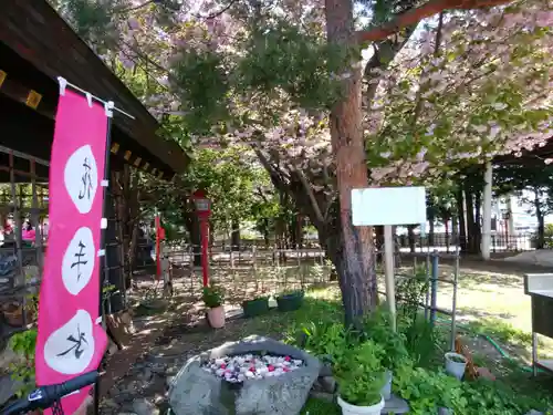 発寒神社の手水