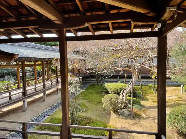 大覚寺(京都府)