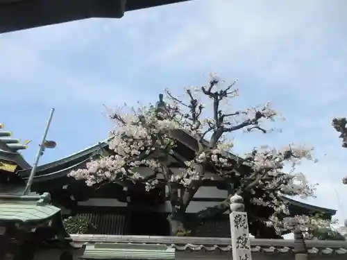 大樂寺(東京都)